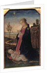Madonna and Child in a Landscape by Jacopo del Sellaio