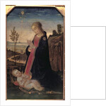 Madonna and Child in a Landscape by Jacopo del Sellaio