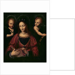 St. Catherine of Alexandria by Bernardino Luini