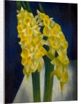 Daffodils, 1954 by Mark Gertler