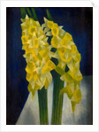 Daffodils, 1954 by Mark Gertler