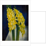 Daffodils, 1954 by Mark Gertler