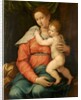 Virgin and Child Before a Green Curtain by Girolamo Siciolante