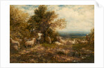 Sheep at Rest; Minding the Flock, c.1840-80 by John Linnell