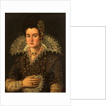 Portrait of a Lady by Alonso Sanchez Coello