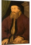 Portrait of a Man, 1551 by Flemish School