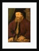Portrait of a Man, 1551 by Flemish School