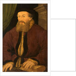 Portrait of a Man, 1551 by Flemish School