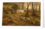 A Welsh Cottage, 1884 by Buckley Ousey