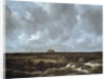 A View of Haarlem and Bleaching Fields, c.1665-70 by Jacob Isaaksz. or Isaacksz. van Ruisdael