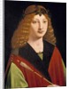 Portrait of a Youth Holding an Arrow, c.1500-10 by Giovanni Antonio Boltraffio