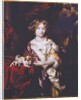 Portrait of a Lady, 1677 by Nicolaes Maes