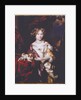 Portrait of a Lady, 1677 by Nicolaes Maes