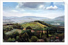 Rolling Hills, Pistoia, Tuscany by Trevor Neal