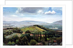 Rolling Hills, Pistoia, Tuscany by Trevor Neal