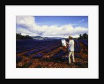 Painter, Vaucluse, Provence, 1998 by Trevor Neal