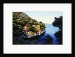 Villa, Portofino by Trevor Neal