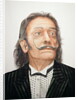 Dali by Trevor Neal