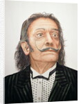 Dali by Trevor Neal