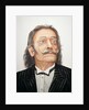 Dali by Trevor Neal