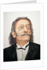 Dali by Trevor Neal
