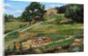 Plough, Cortona, 1999 by Trevor Neal