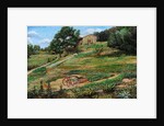 Plough, Cortona, 1999 by Trevor Neal