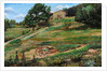 Plough, Cortona, 1999 by Trevor Neal
