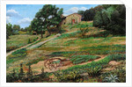 Plough, Cortona, 1999 by Trevor Neal