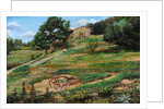 Plough, Cortona, 1999 by Trevor Neal