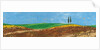 Two Trees, Rolling Hills, Tuscany, 2005 by Trevor Neal
