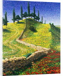 Spanish Hill Top, 1992 by Trevor Neal