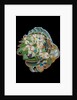 Roll Up, 2010 by Tony Todd