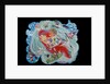 The Sea Birds, 2010 by Tony Todd