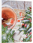 Christmas Robins by Tony Todd