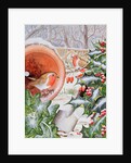 Christmas Robins by Tony Todd