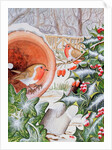 Christmas Robins by Tony Todd