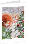 Christmas Robins by Tony Todd