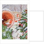 Christmas Robins by Tony Todd