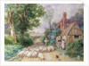 Shepherd and his flock passing a country cottage by Myles Birket Foster