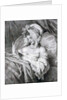 Portrait of Clara Maria Pope by Francis Wheatley