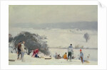 Tobogganing, The Meads, Hertford by Trevor Chamberlain