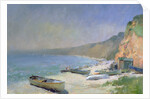 Shimmering Beach, Budleigh Salterton by Trevor Chamberlain