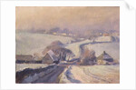 Frosty fields, Aston, 1991 by Trevor Chamberlain