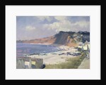 Summer Morning in Budleigh Salterton, 1989 by Trevor Chamberlain