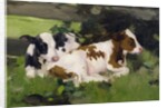 Ayrshire Calves, c.1890 by David Gauld