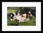 Ayrshire Calves, c.1890 by David Gauld