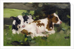 Ayrshire Calves, c.1890 by David Gauld