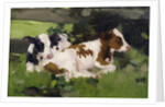 Ayrshire Calves, c.1890 by David Gauld