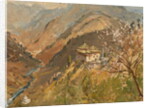 Tashigang Dzong by Tim Scott Bolton